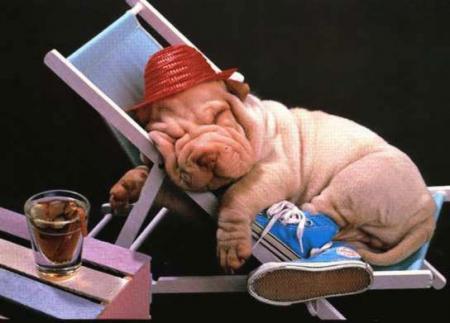 bon moi g pris mon ptit coup a boir mes pompe sont a mes pieds mon chapeau sur la tete !! m1tenant je v bronzé !!!!