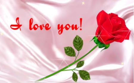 I love you